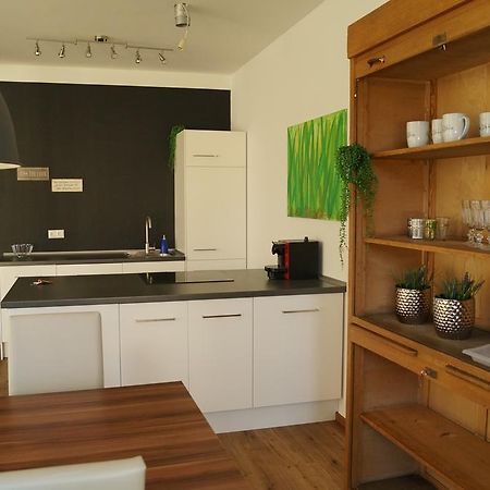 Loft Style 3 Room Apartment + Terrace Villingen-Schwenningen Exterior foto